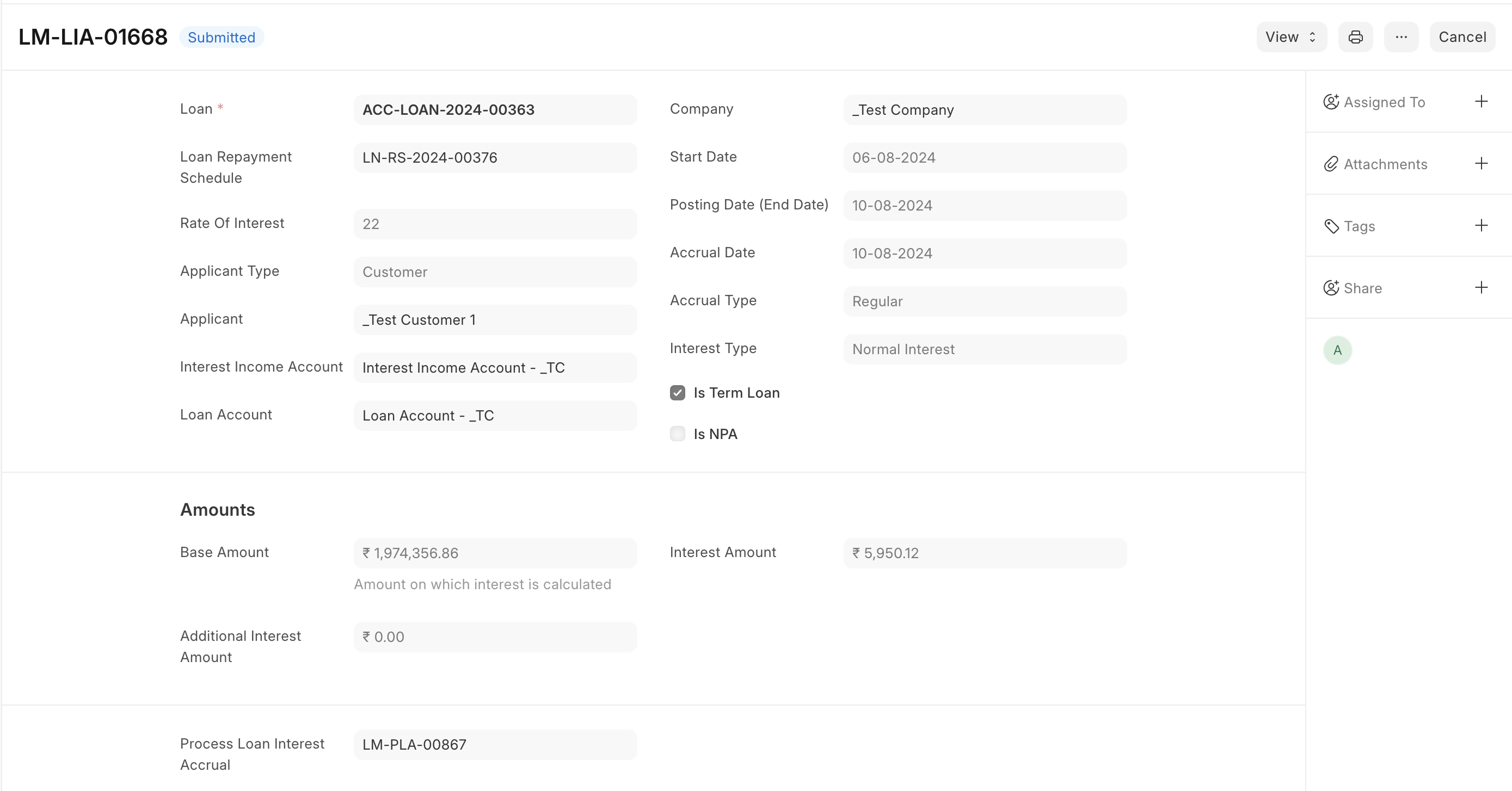 Loan Interest Accrual